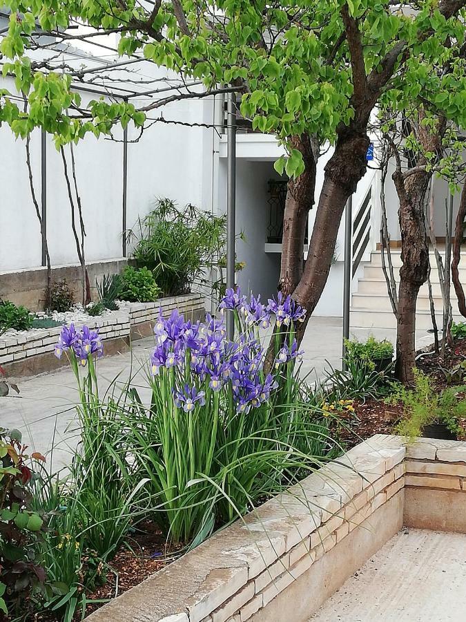 Apartman 2 زادار المظهر الخارجي الصورة